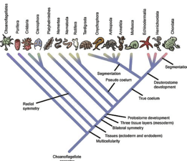 Screen Shot 2018-09-23 at 4.32.10 PM.png